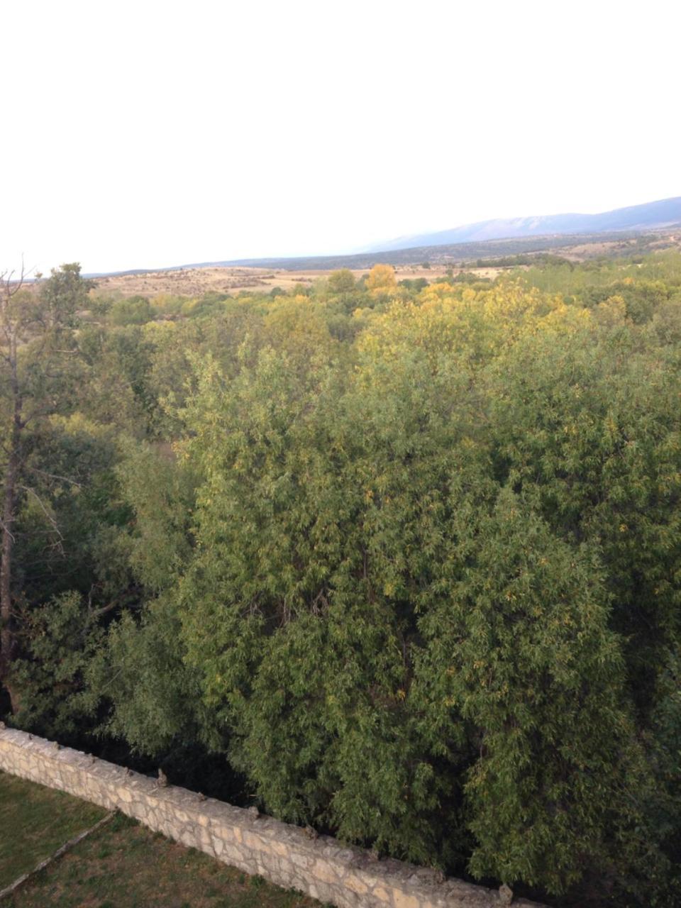 Apartamento Rural La Muralla De Pedraza Chavida Εξωτερικό φωτογραφία